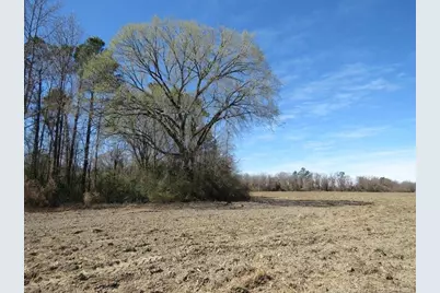 Tbd Kehukee Drive, Parkton, NC 28371 - Photo 12