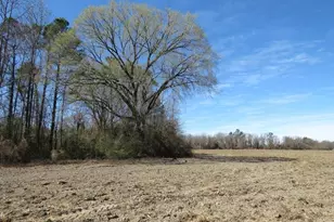 Tbd Kehukee Dr, Parkton, NC 28371 - Photo 12