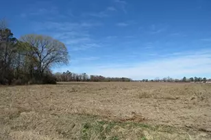 Tbd Kehukee Dr, Parkton, NC 28371 - Photo 10