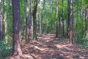 Tbd Kehukee Dr, Parkton, NC 28371 - Photo 2