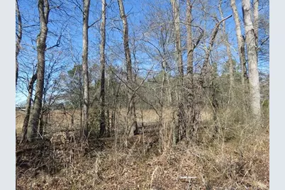 Tbd Kehukee Drive, Parkton, NC 28371 - Photo 12