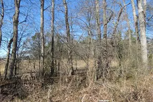 Tbd Kehukee Dr, Parkton, NC 28371 - Photo 12