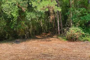 Tbd Kehukee Dr, Parkton, NC 28371 - Photo 6