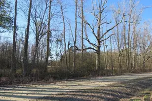 Tbd Kehukee Dr, Parkton, NC 28371 - Photo 8