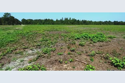 Tbd Alamac (Off Of) Road, Lumberton, NC 28358 - Photo 14
