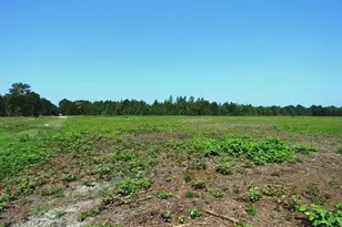 Tbd Alamac (Off Of) Rd, Lumberton, NC 28358 - Photo 14