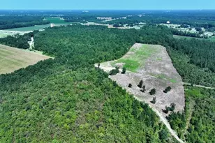 Tbd Alamac (Off Of) Rd, Lumberton, NC 28358 - Photo 8