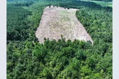 Tbd Alamac (Off Of) Road, Lumberton, NC 28358 - Photo 1