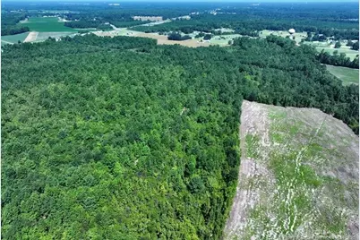 Tbd Alamac (Off Of) Road, Lumberton, NC 28358 - Photo 6