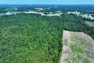 Tbd Alamac (Off Of) Rd, Lumberton, NC 28358 - Photo 6