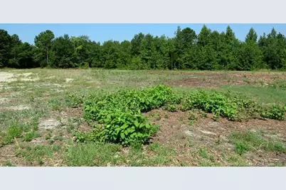 Tbd Alamac (Off Of) Road, Lumberton, NC 28358 - Photo 10