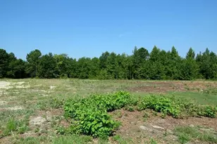 Tbd Alamac (Off Of) Rd, Lumberton, NC 28358 - Photo 10
