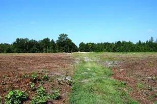 Tbd Alamac (Off Of) Rd, Lumberton, NC 28358 - Photo 12