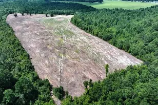 Tbd Alamac (Off Of) Rd, Lumberton, NC 28358 - Photo 2