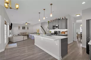 248 Rainy Beck Wy, Erwin, NC 28339 - Photo 14