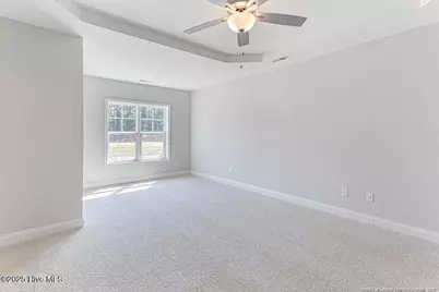 3 Vineyard Place, Jackson Springs, NC 27281 - Photo 26