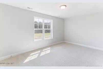 3 Vineyard Place, Jackson Springs, NC 27281 - Photo 42