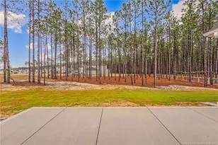 1105 Wolf Pne Ct, Fayetteville, NC 28311 - Photo 34