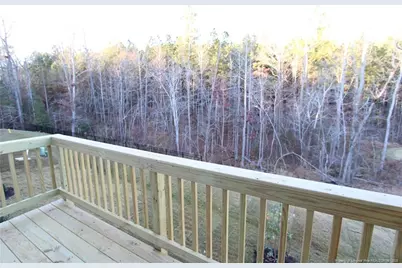 510 Light Oak Way, Apex, NC 27539 - Photo 48