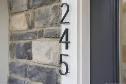 245 Ribbon Rail Street, Fuquay-Varina, NC 27526 - Photo 6