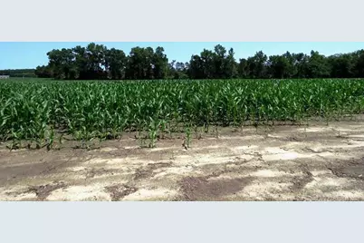 Tbd Nc Hwy 71 Highway, Red Springs, NC 28377 - Photo 10