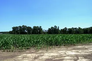 Tbd Nc Hwy 71 Hwy, Red Springs, NC 28377 - Photo 10