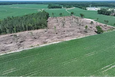 Tbd Nc Hwy 71 Highway, Red Springs, NC 28377 - Photo 4