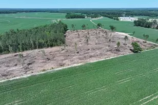 Tbd Nc Hwy 71 Hwy, Red Springs, NC 28377 - Photo 4