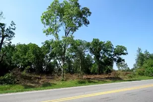 Tbd Nc Hwy 71 Hwy, Red Springs, NC 28377 - Photo 12