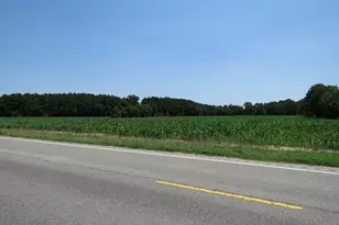 Tbd Nc Hwy 71 Hwy, Red Springs, NC 28377 - Photo 8