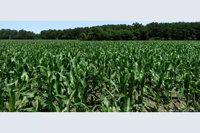 Tbd Nc Hwy 71 Highway, Red Springs, NC 28377 - Photo 6