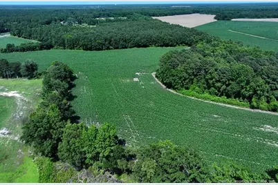 Tbd Nc Hwy 71 Highway, Red Springs, NC 28377 - Photo 2