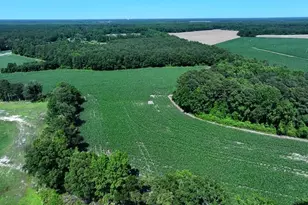 Tbd Nc Hwy 71 Hwy, Red Springs, NC 28377 - Photo 2