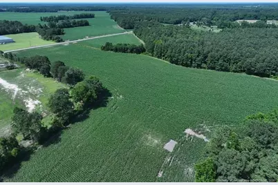 Tbd Nc Hwy 71 Highway, Red Springs, NC 28377 - Photo 4