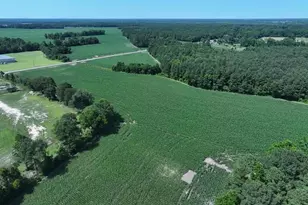 Tbd Nc Hwy 71 Hwy, Red Springs, NC 28377 - Photo 4