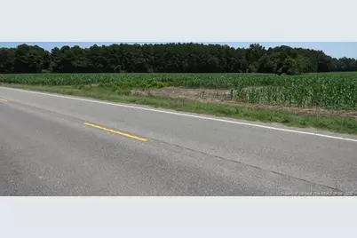 Tbd Nc Hwy 71 Highway, Red Springs, NC 28377 - Photo 10