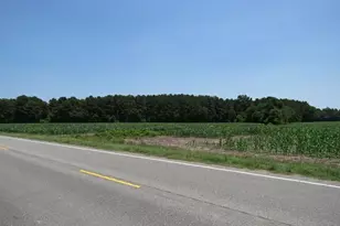 Tbd Nc Hwy 71 Hwy, Red Springs, NC 28377 - Photo 10