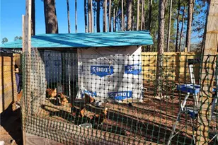 151 Pine Oak Ln, Cameron, NC 28326 - Photo 16