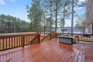 49 Pebble Beach, Sanford, NC 27332 - Photo 6