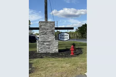 274 Deodora Lane, Cameron, NC 28326 - Photo 2