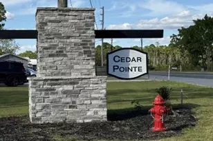 274 Deodora Ln, Cameron, NC 28326 - Photo 2