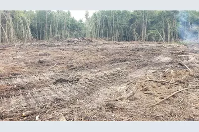 52 Acres, River Front Property Land, Lumberton, NC 28360 - Photo 14