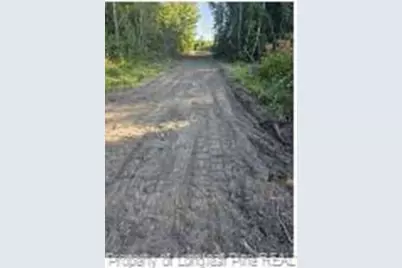 52 Acres, River Front Property Land, Lumberton, NC 28360 - Photo 16