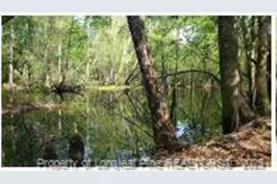 52 Acres, River Front Property Land, Lumberton, NC 28360 - Photo 8