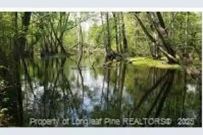 52 Acres, River Front Property Land, Lumberton, NC 28360 - Photo 10