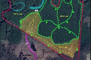 52 Acres River Front Property Land, Lumberton, NC 28360 - Photo 1