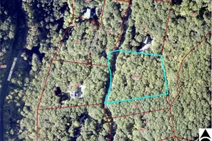 99999 Red Oak Forest Rd, Fairview, NC 28730 - Photo 1