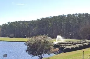 312 Harbor Trce, Sanford, NC 27332 - Photo 38