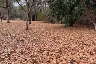 2031 Wade-Stedman Rd, Stedman, NC 28391 - Photo 22