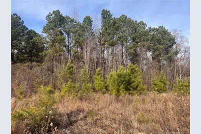 0 Tramway Road, Sanford, NC 27330 - Photo 2